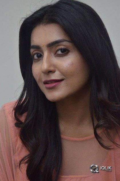 Avantika-Mishra-At-Vaishakham-Movie-Success-meet